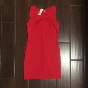 NWT! Genevieve Dress‼️REDUCED‼️